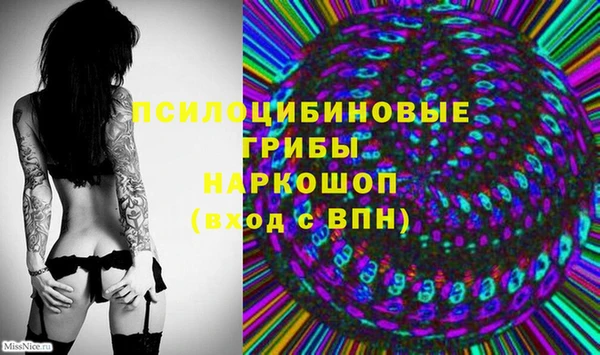 тгк Абаза
