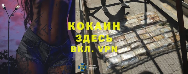 тгк Абаза