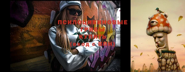 тгк Абаза